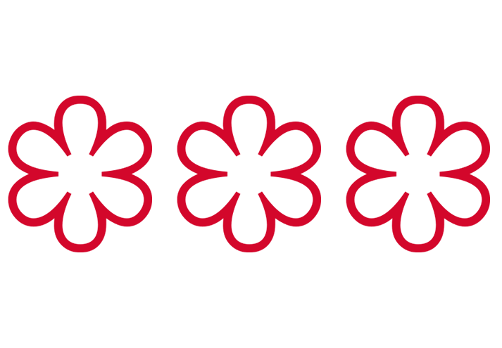 michelin logo